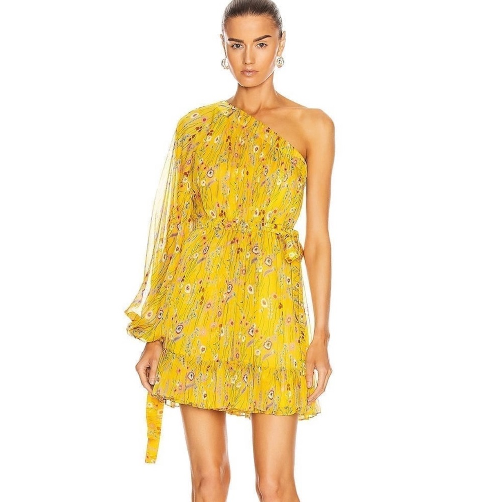 Never worn Edyta Dress in Sunrise Bouquet in XS